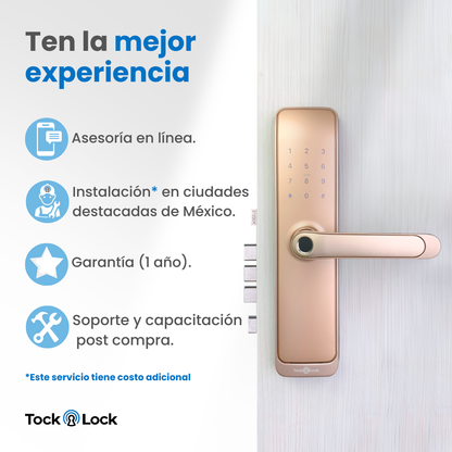Cerradura Inteligente TOCK100 PLUS-TL