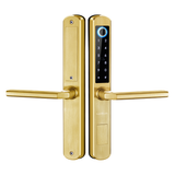Cerradura Inteligente TLX07-TL