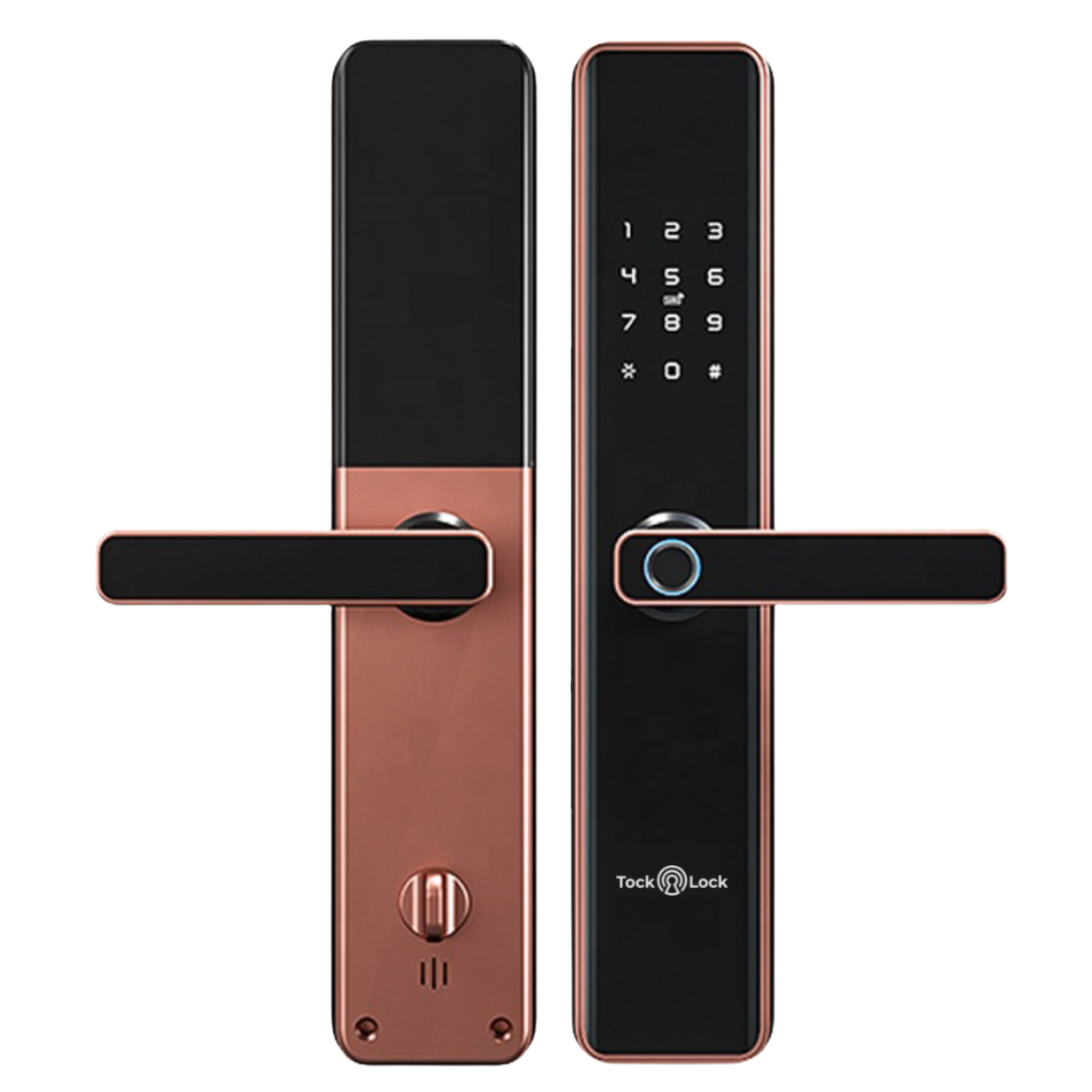 Cerradura Inteligente TLX02 PLUS-TL