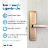 Cerradura Inteligente TOCK100 PLUS-TS