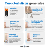Cerradura Inteligente TOCK100-TS