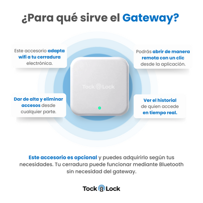 Cerradura Inteligente TOCK100 PLUS-TL