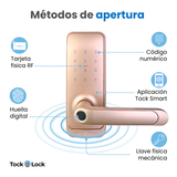 Cerradura Inteligente TOCK100-TS