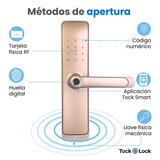 Cerradura Inteligente TOCK100 PLUS-TS