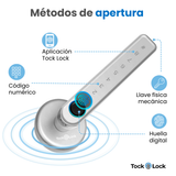 Cerradura Inteligente TOCK-H-TL
