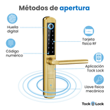 Cerradura Inteligente TLX07-TL