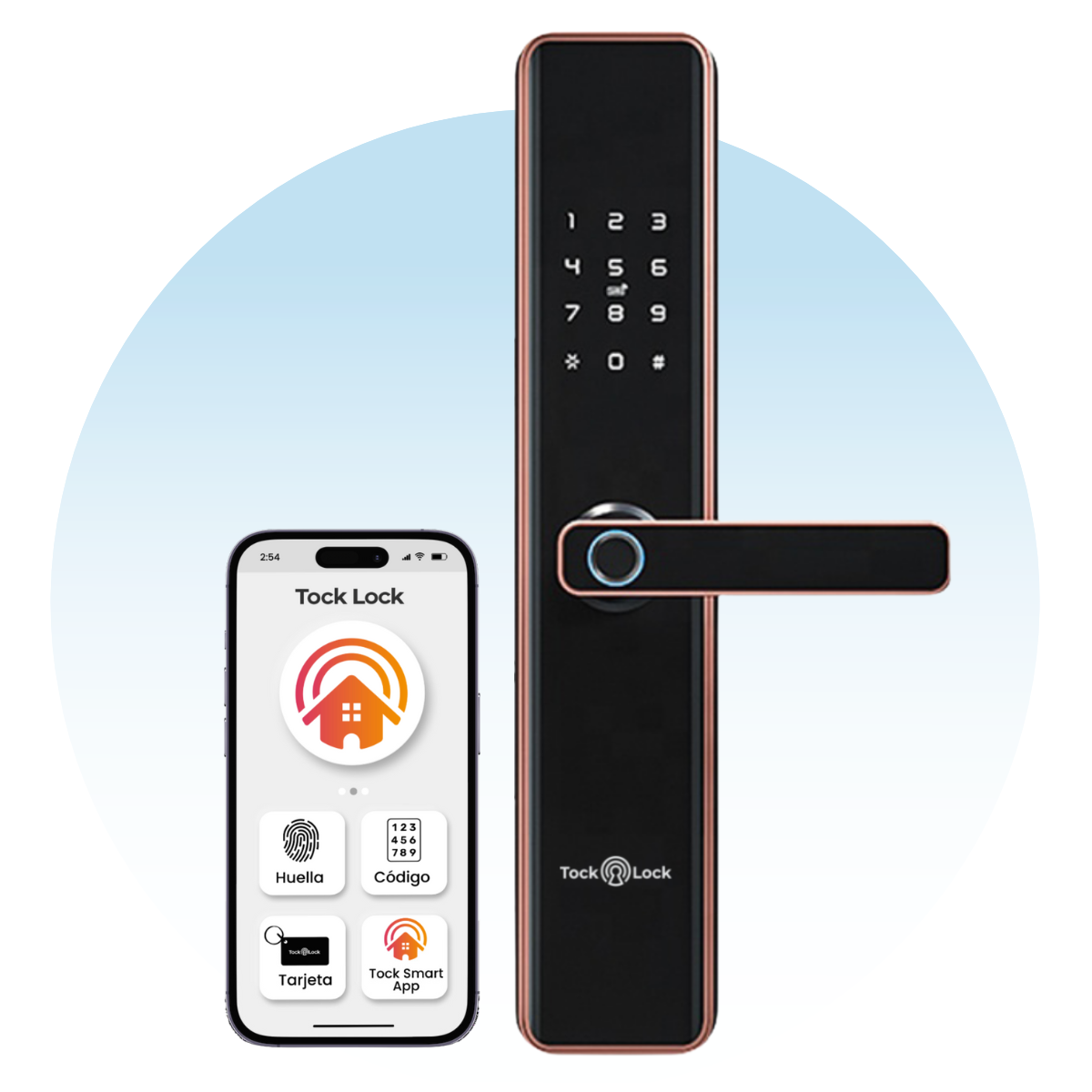 Cerradura Inteligente TLX02 PLUS-TS