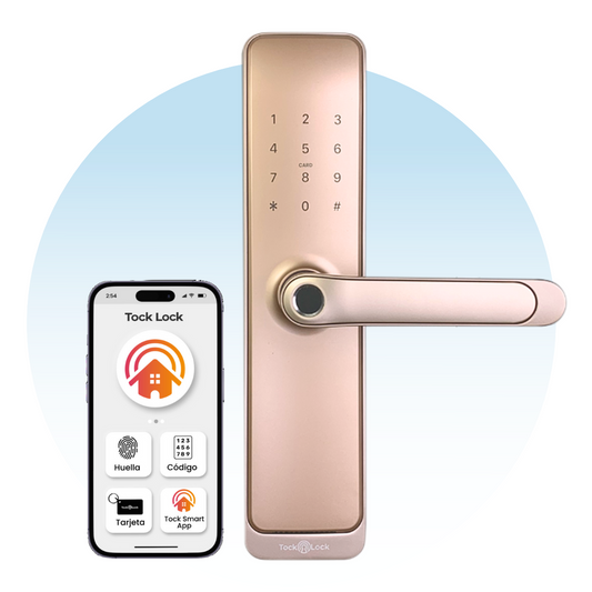 Cerradura Inteligente TOCK100 PLUS-TS